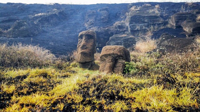 Patung-patung Moai yang rusak terlihat setelah kebakaran hutan di sebuah taman lokal di Pulau Paskah, Chili,  7 Oktober 2022. Foto: Rapa Nui Municipality/Handout via REUTERS