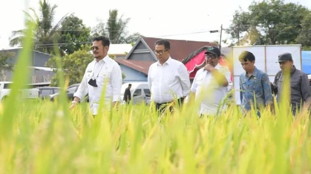 Menteri Pertanian Syahrul Yasin Limpo saat berkunjung ke Kecamatan Kalukku, Mamuju, Sulawesi Barat. Foto: Dok. Pemprov Sulbar