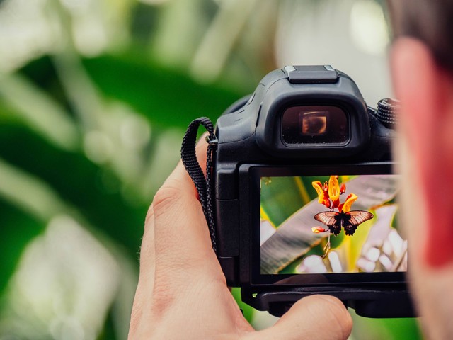 Susunan atau Letak Objek Gambar Disebut, Foto Unsplash Jamie Street