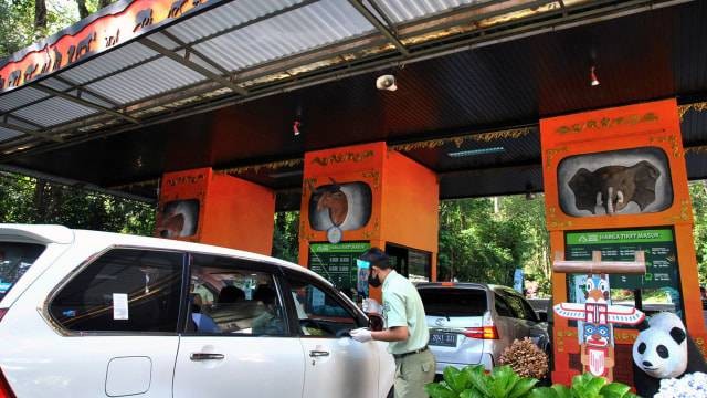 Harga Tiket Taman Safari per Mobil, Foto Hanya Ilustrasi: Kumparan/ANTARA FOTO/Arif Firmansyah