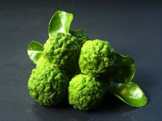 Ilustrasi bergamot. Foto: pixabay