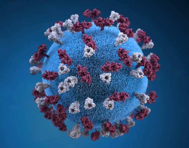 Ilustrasi Tahapan eklifase pada siklus litik ditandai dengan penghancuran DNA sel inang, sumber foto (CDC) by unsplash.com