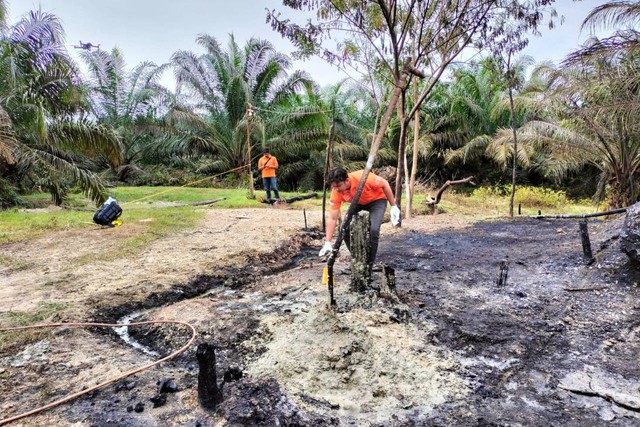 Sumur minyak tradisional di area perkebunan salah satu perusahaan terbakar di Desa Seuneubok Lapang, Kecamatan Peureulak Timur, Aceh Timur, Rabu (12/10/2022). Foto: Dok. Istimewa