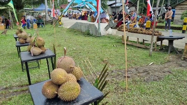 Kampung durian di Desa Kalola, Pasangkayu. Foto: Dok. Istimewa