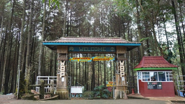 Loket masuk Wisata Bukit Pinus Carangwulung (dokumentasi pribadi)
