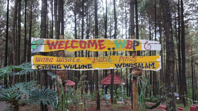 Papan tanda selamat datang di Wisata Bukit Pinus Carangwulung