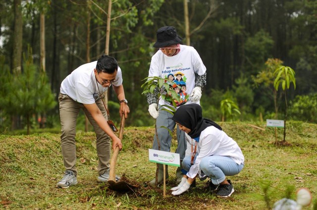 Sejumlah peserta menanam bibit pohon pada Program BRI Menanam. Foto: Dok. BRI