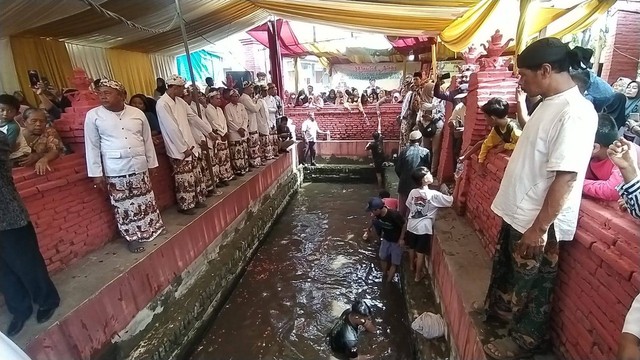 Tradisi pengangkatan buyut kayu perbatang di Desa Kertawinangun Kecamatan Kedawung Kabupaten Cirebon Jawa Barat. Yang dilakukan setiap Peringatan Maulid Nabi Muhammad SAW (muludan).(Juan)