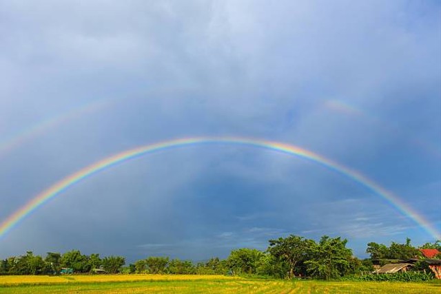 Pelangi. Foto: pixabay