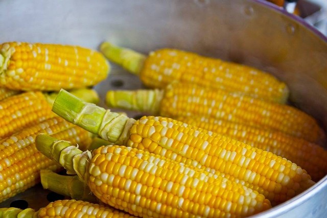 Ilustrasi Cara Jagung Berkembang Biak. (Foto: keem1201 by https://pixabay.com/id/)