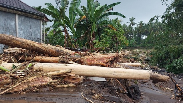 Kayu-kayu besar yang terbawa arus air saat banjir di Jembrana, Bali - IST