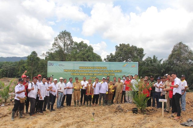 PTPN XIII Lakukan Replanting tanaman kelapa sawit di Kebun Kembayan, Kalbar. Foto: Dok. PTPN XIII