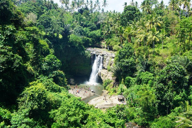 Ilustrasi Wisata Alam Salatiga. Foto: unsplash/oktomi.