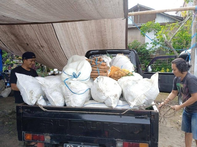 Tradisi rukup dengan cara mengumpulkan hasil panen sayuran dari masyarakat Minahasa, Sulawesi Utara. (Foto Media Center KMAN VI)