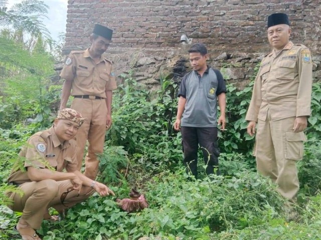 Warga di Cirebon Jawa Barat menemukan bunga bangkai di sekitar TPA.(Juan)
