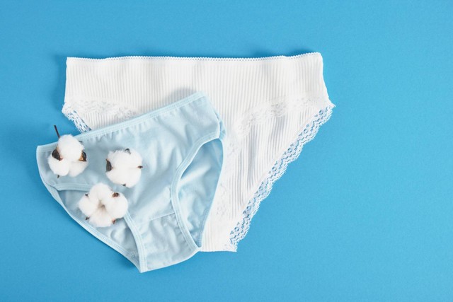 Ilustrasi celana dalam perempuan. Foto: TShaKopy/Shutterstock