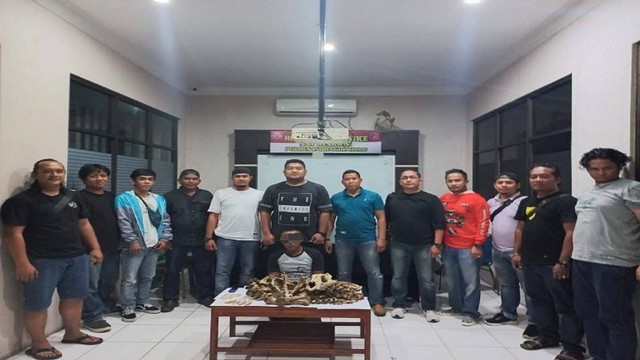 Pelaku perdagangan tulang harimau sumatera diamankan di Polres Inhu, Riau (Dok. Polres Inhu)