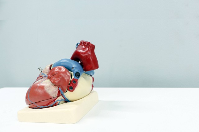 Apa saja ciri-ciri penyakit jantung? Foto: Unsplash