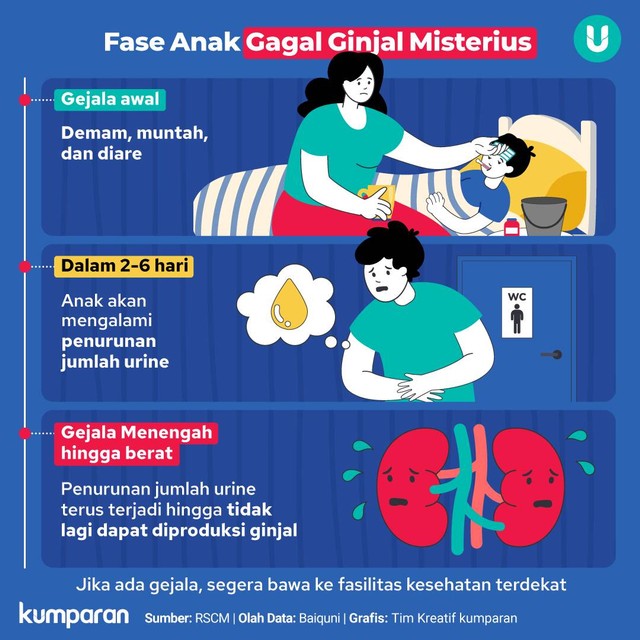 Infografik Fase Anak Gagal Ginjal Misterius. Foto: kumparan