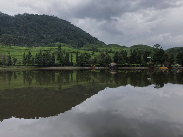 Puncak Mas Tea Plantation