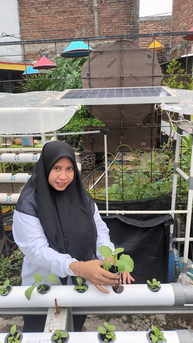 DILENGKAPI PANEL SURYA: Kebun hidroponik milik Kebun Sayur Ahong sudah dilengkapi panel surya atau solar cell untuk mensuplai kebutuhan listrik mandiri. Foto: Windy Goestiana/Basra