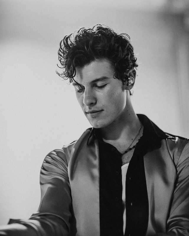 Shawn Mendes Foto: Instagram @shawnmendes.