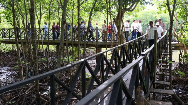 Trek di hutan mangrove Langsa. Foto: Suparta/acehkini