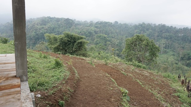 Lokasi Camping Ground. (Dokumentasi Pribadi, 2022)