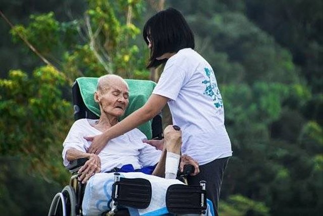 Mengenal Caregiver Lengkap Dengan Fungsi Dan Tugas Yang Diemban ...