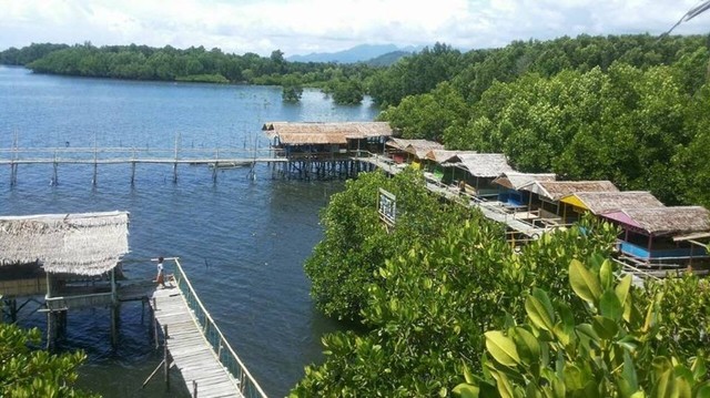 Kawasan wisata mangrove di Dusun Saluleang, Kabupaten Mamuju, Sulawesi Barat. Foto: Dok. Istimewa