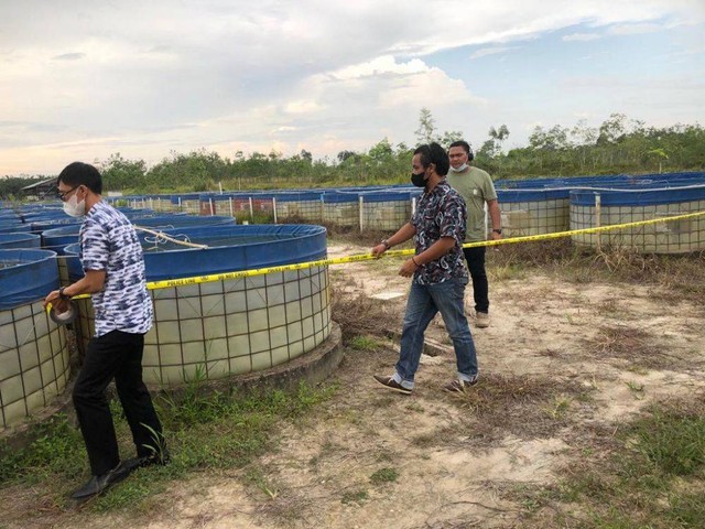 Penyidik memasang garis polisi di kolam lele milik PT DHD/Istimewa