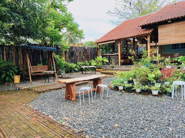 Backland: Coffee Shop Dengan Pemandangan Sawah dan Gunung di Pesawaran (5)