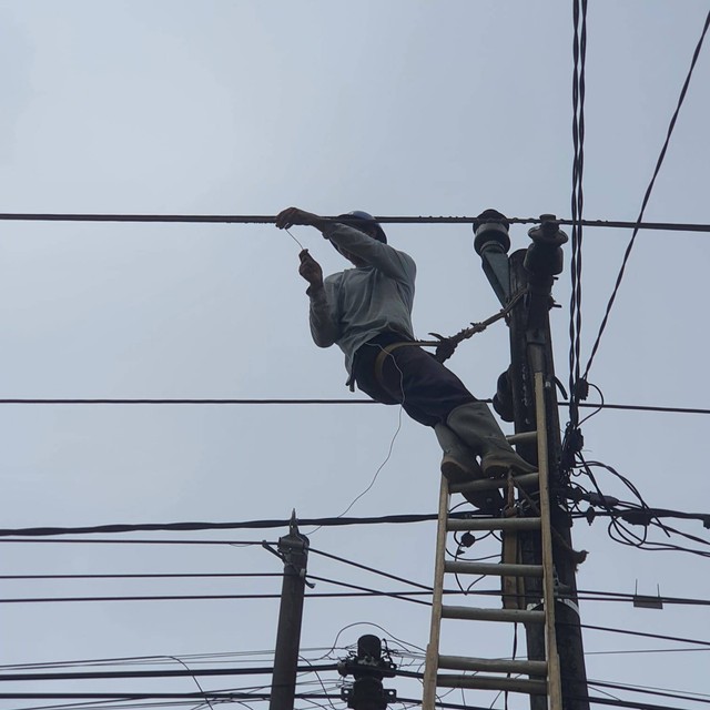 Petugas memperbaiki jaringan listrik. Foto: Dok. PLN Singkawang