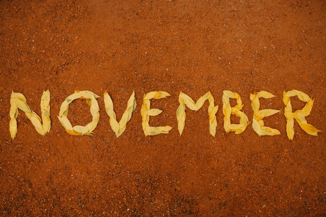 Ilustrasi Ucapan Selamat Datang Bulan November. Foto: pexel.com/Maxsim.