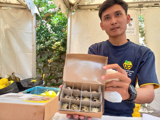 Akhmad Fakhrurrozi (25) pemuda Desa Bukateja, Kecamatan Balapulang, Kabupaten Tegal, mengembangkan telur asin dari bahan telur puyuh.