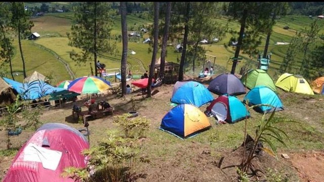 Bagi pengunjung yang ingin menginap tersedia area camping untuk memasang tenda. Foto: Frendy