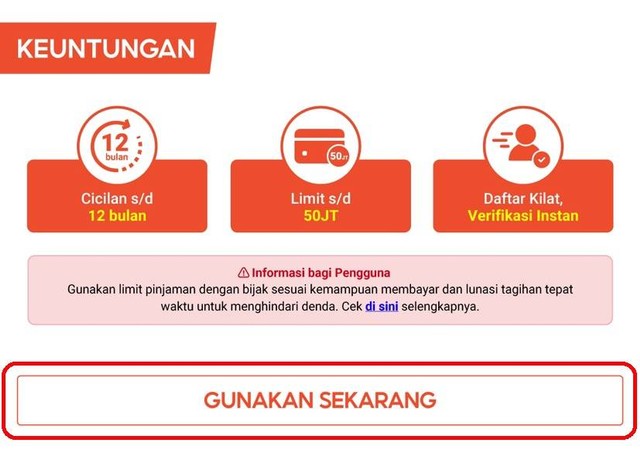 Pengguna Paylater di Indonesia Terus Bertambah, Ini Alasannya! (33009)