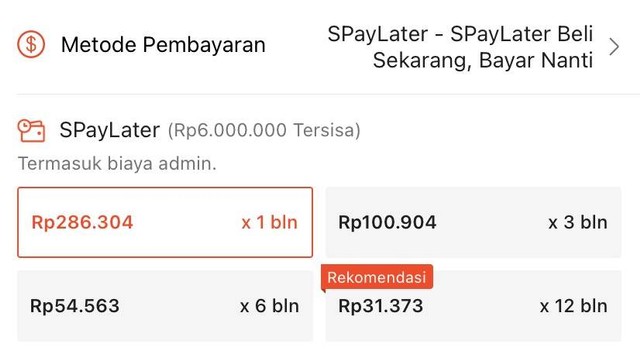 Pengguna Paylater di Indonesia Terus Bertambah, Ini Alasannya! (33013)