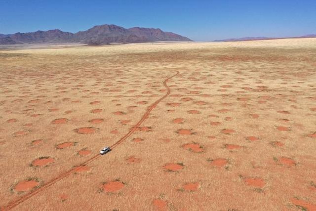 Foto udara 'Lingkaran Peri' di Gurun Namib, Namibia. Foto: Stephan Getzin