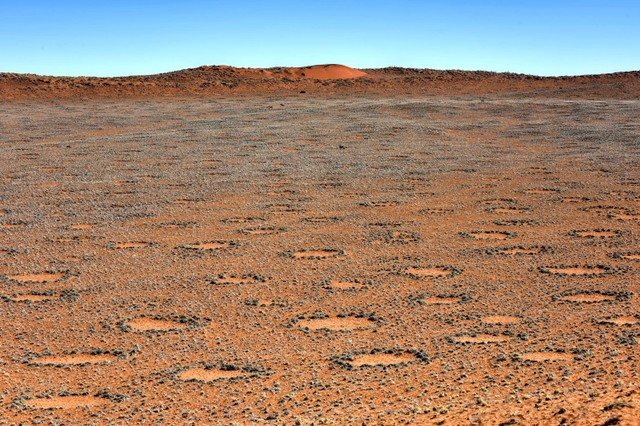 Lingkaran Peri di Gurun Namib, Namibia. Foto: Shutterstock