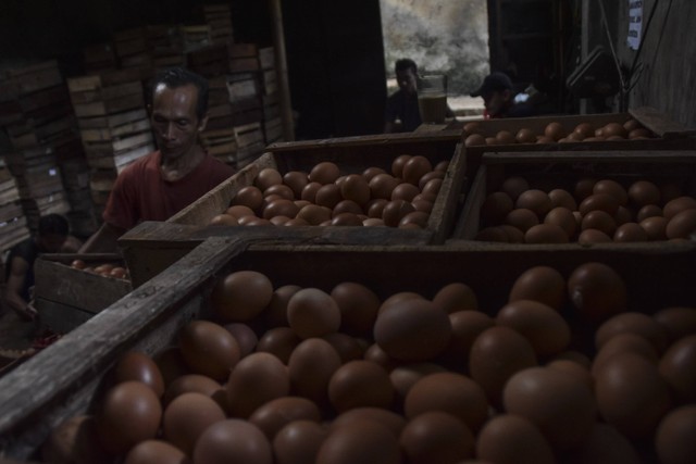 Pekerja memilah telur ayam di Desa Cipaku, Kabupaten Ciamis, Jawa Barat, Selasa (1/11/2022). Foto: Adeng Bustomi/Antara Foto