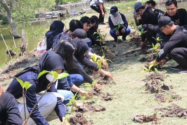 dokumentasi proses tanam bibit mangrove oleh Humas Polrestabes Surabaya