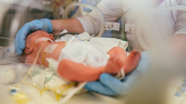 Ilustrasi bayi dirawat di rumah sakit. Foto: Iryna Inshyna/Shutterstock