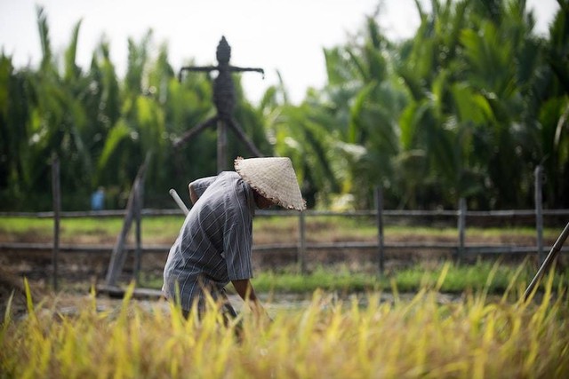 Contoh ekonomi tradisional. Foto: Unsplash