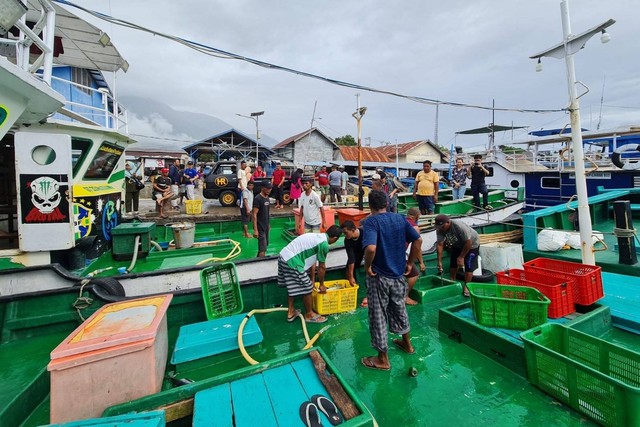 Startup Perikanan, FishLog, Serap 15.000 Ton Ikan Dari Nelayan RI ...