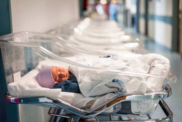Ilustrasi batas bilirubin pada bayi baru lahir (Sumber: Pexels)