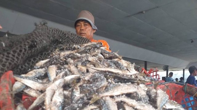 Garam Mahal Dan Langka, Pelaku Usaha Ikan Asin Kesulitan Produksi ...