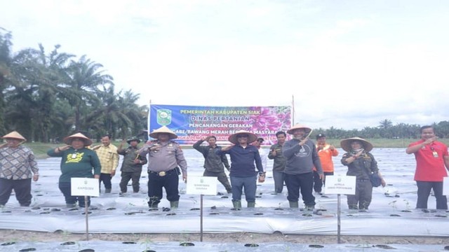 Sekretaris Daerah Kabupaten Siak, Arfan Usman, bertanam cabai dan bawang merah di Lampung Langsat Permai, Kabupaten Siak, Riau. (Dok. Istimewa)