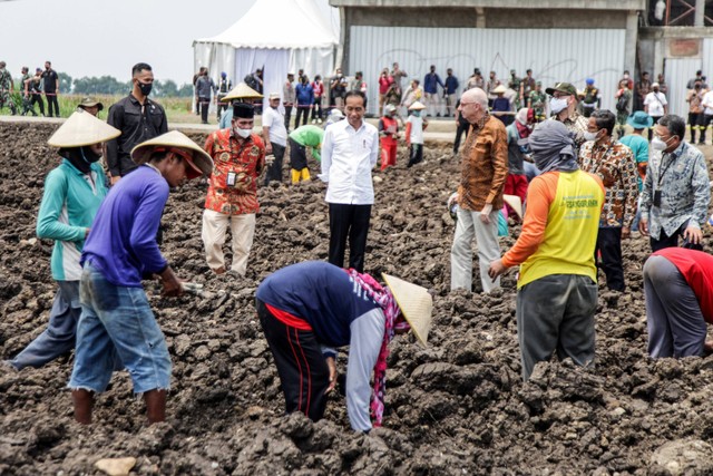 Presiden Joko Widodo (keempat kiri) mengamati petani memanam tebu di kebun tebu Temugiring PTPN X Batankrajan, Gedeg, Mojokerto, Jawa Timur, Jumat (4/11/2022).  Foto: Umarul Faruq/ANTARA FOTO