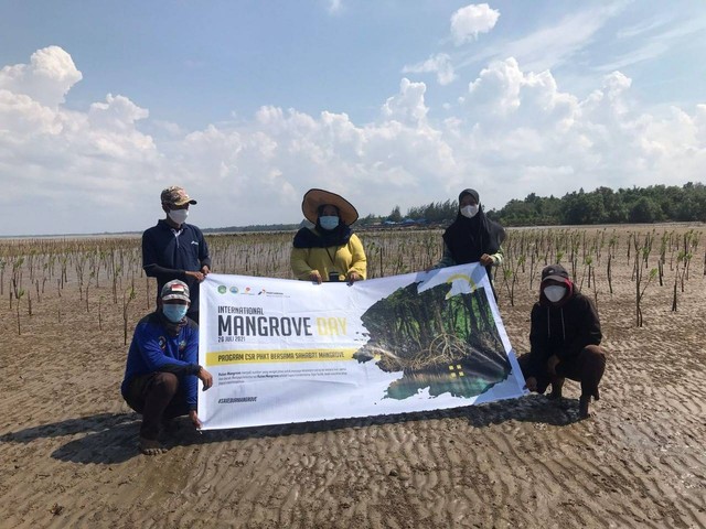 Penanaman Mangrove di Desa Kersik, Kalimantan Timur. Foto: Dok. Pertamina